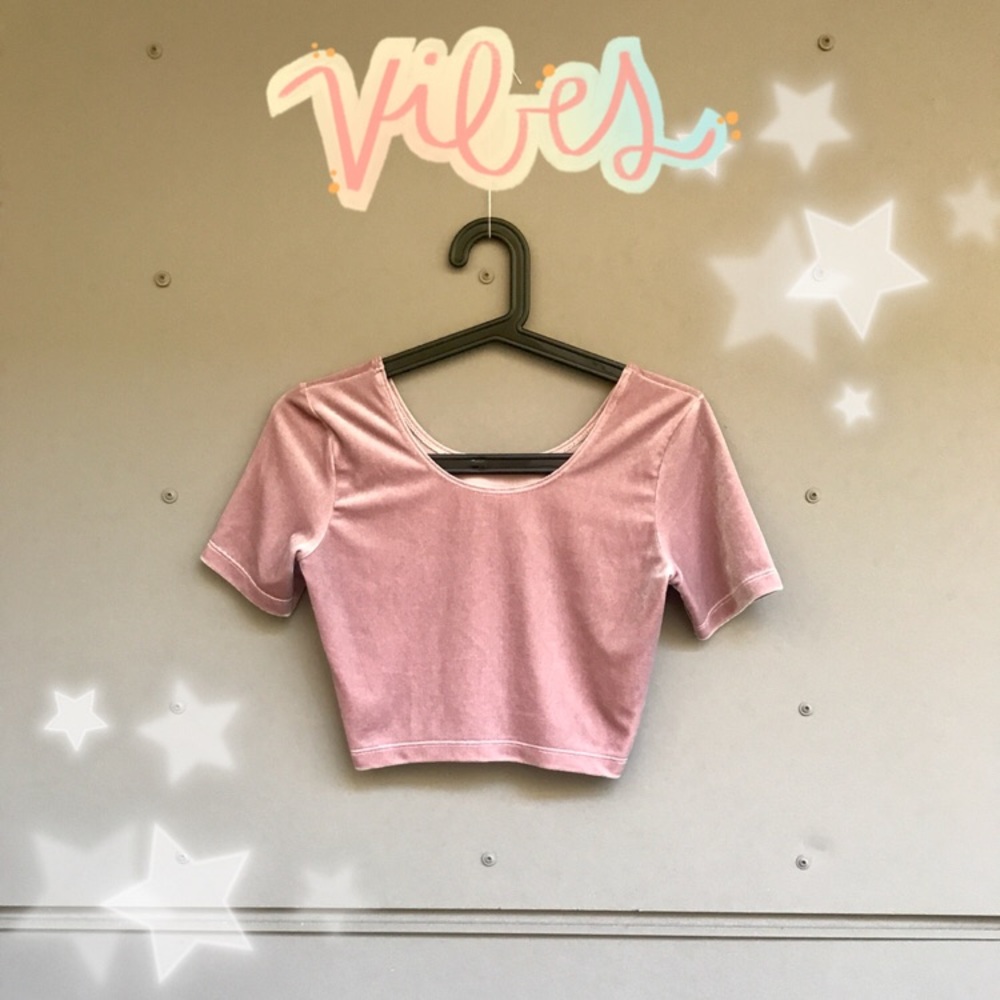 Velvet Crop Top Tee American Apparel Dusty Pink